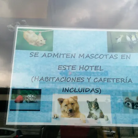 Carbayon Szálloda Oviedo