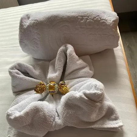Carbayon Hotel 2*