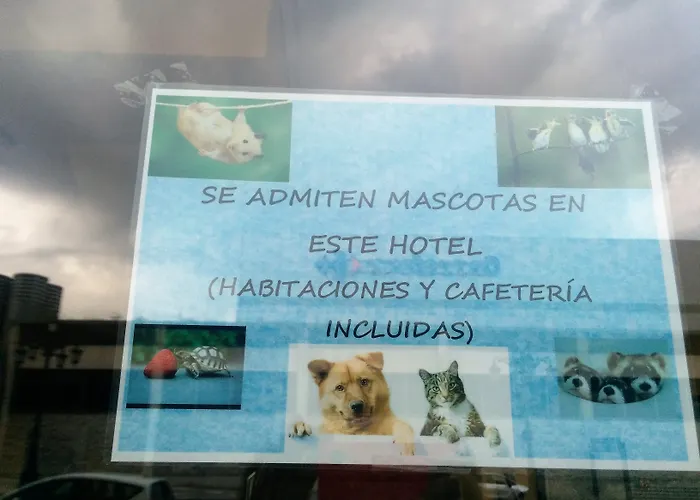 Carbayon 호텔 오비에도