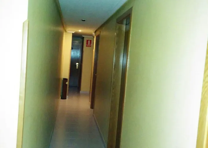 Carbayon 오비에도